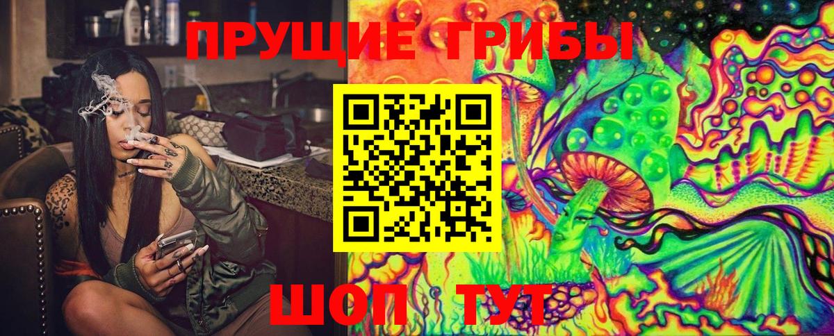 Псилоцибиновые грибы GOLDEN TEACHER  Вход с VPN  Воткинск 