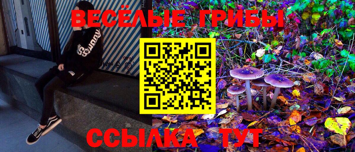 Псилоцибиновые грибы Cubensis Воткинск